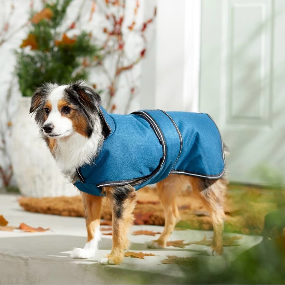 NWT Blue Winter Dog Coat - waterproof, insulated